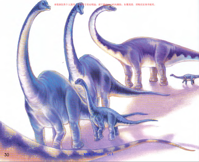 英语监督10 dinosaurs(恐龙)