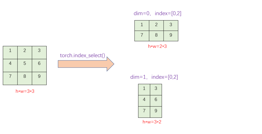 第七篇—索引（tensor操作专题） - 哔哩哔哩
