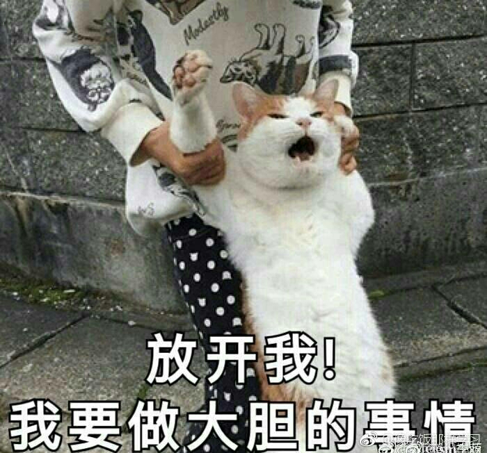 反转吧！中二病少女