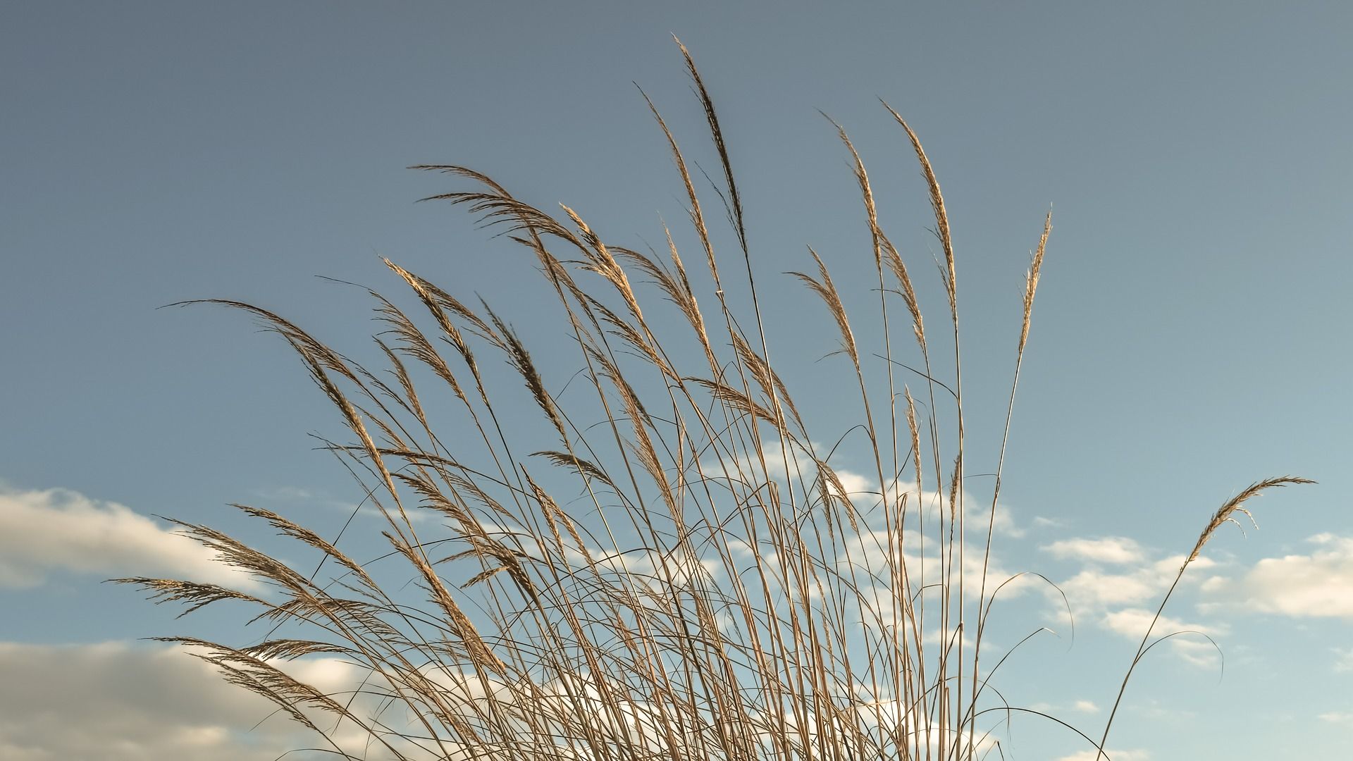 明史 • 高攀龙 哔哩哔哩