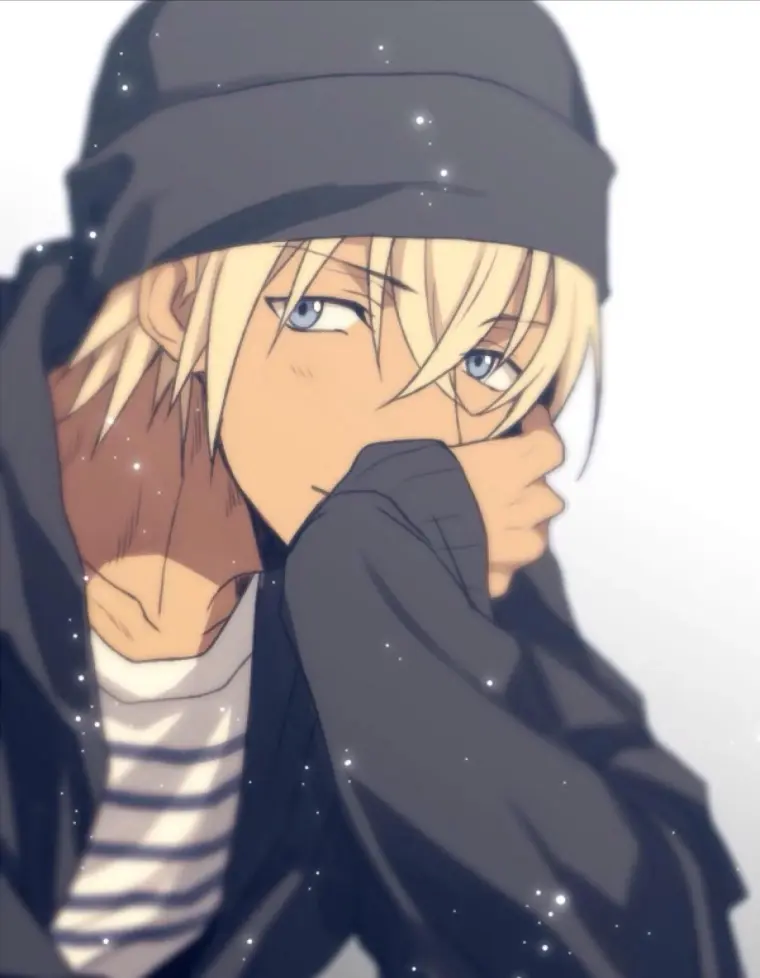 柯南 浅谈赤井秀一和安室透这对大受欢迎的cp 哔哩哔哩