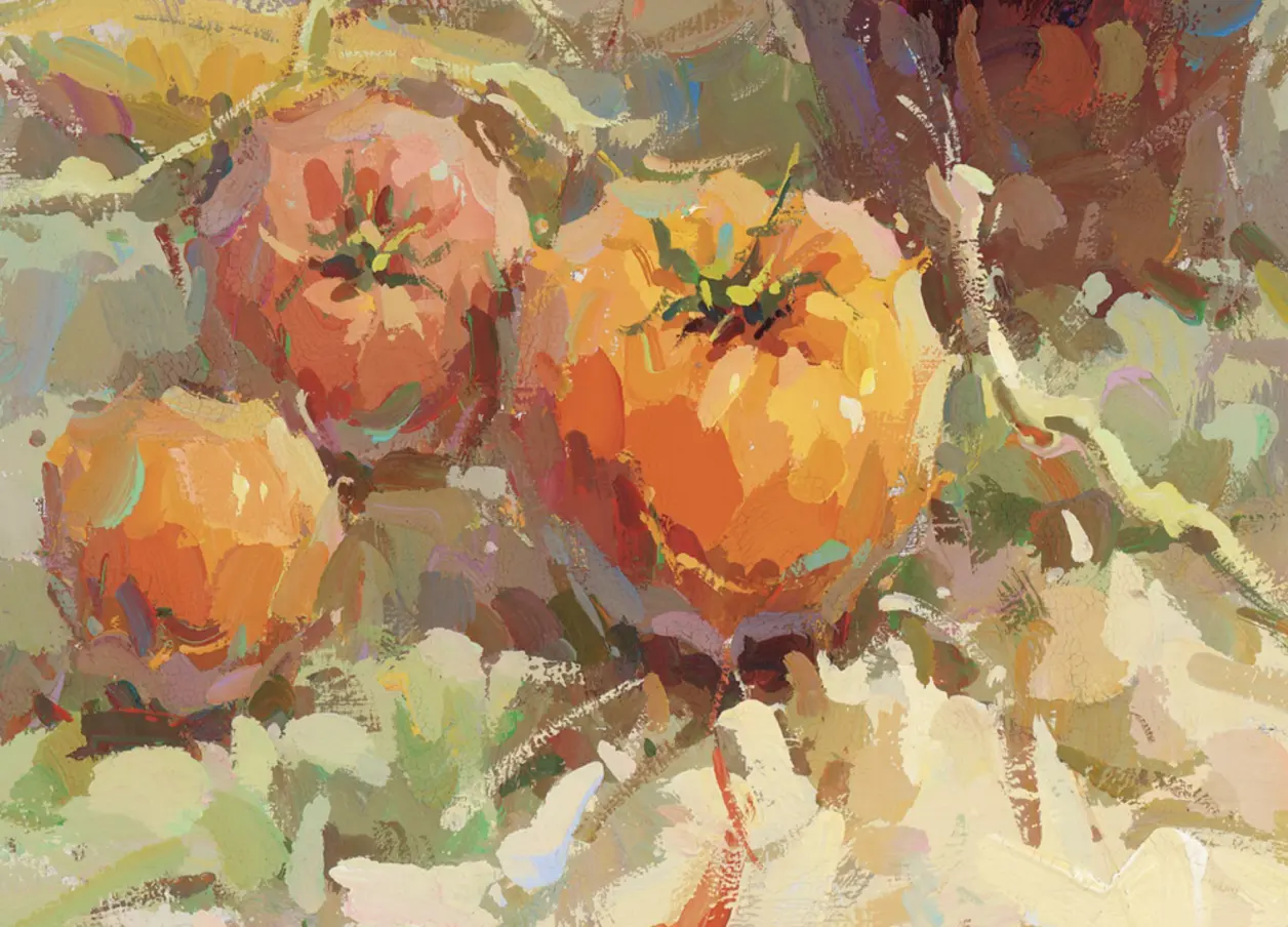 色彩静物西红柿合集