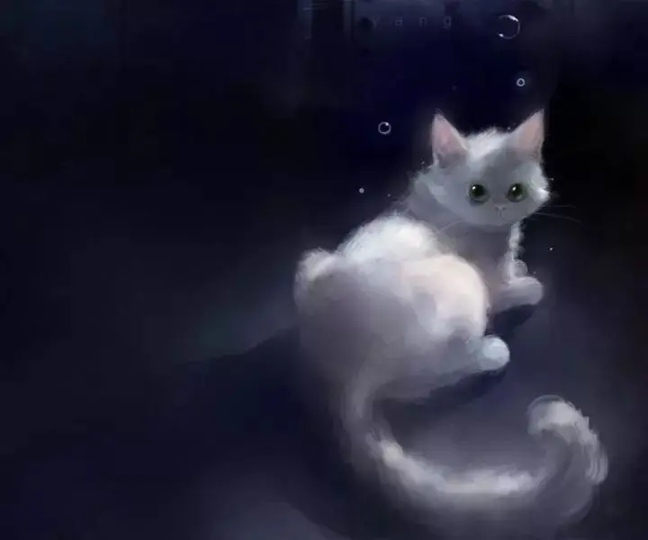为何死猫要被挂树上？这事竟与道士有关！ - 哔哩哔哩