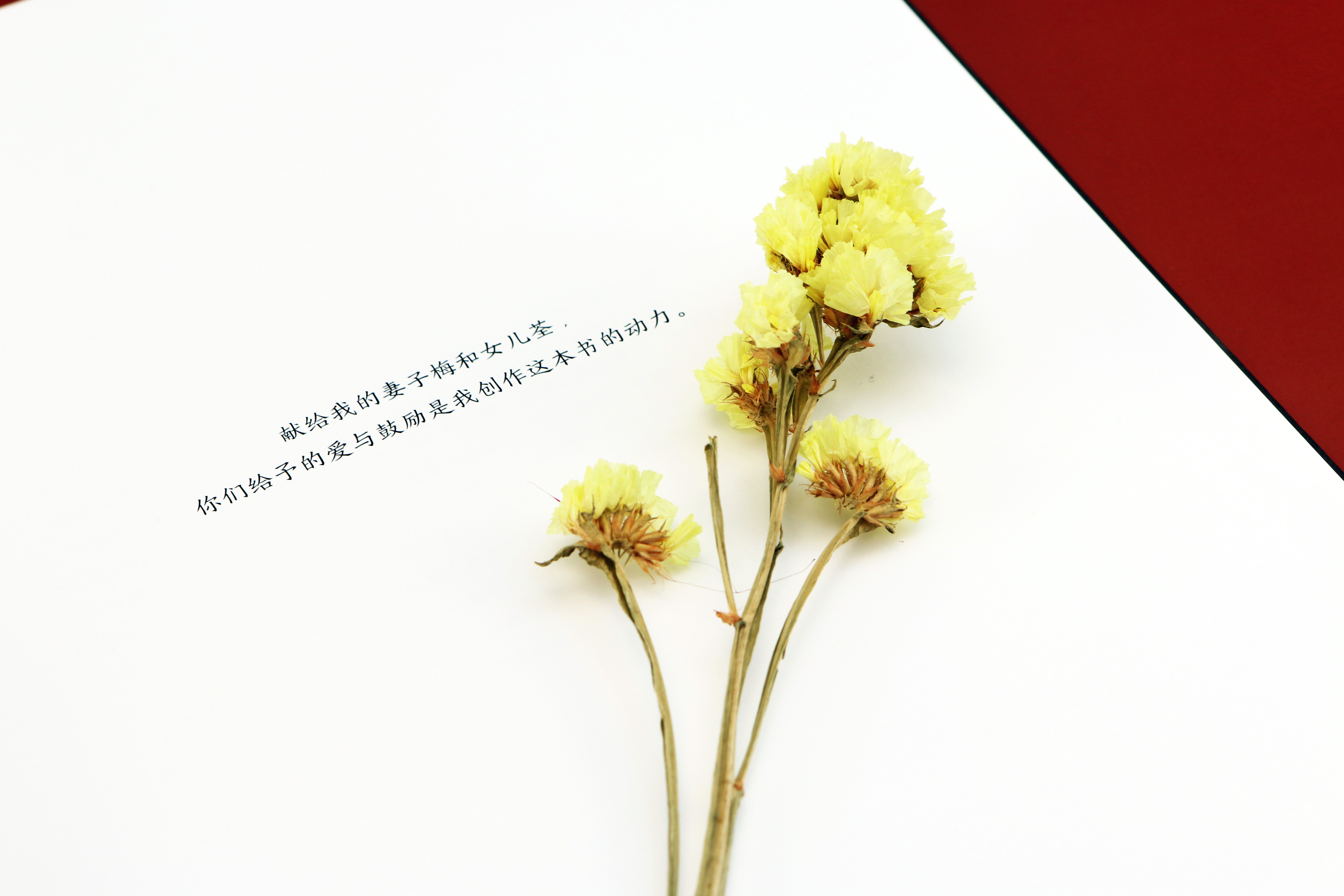 参与过《辐射4》《黑魂3》的游戏概念设计师