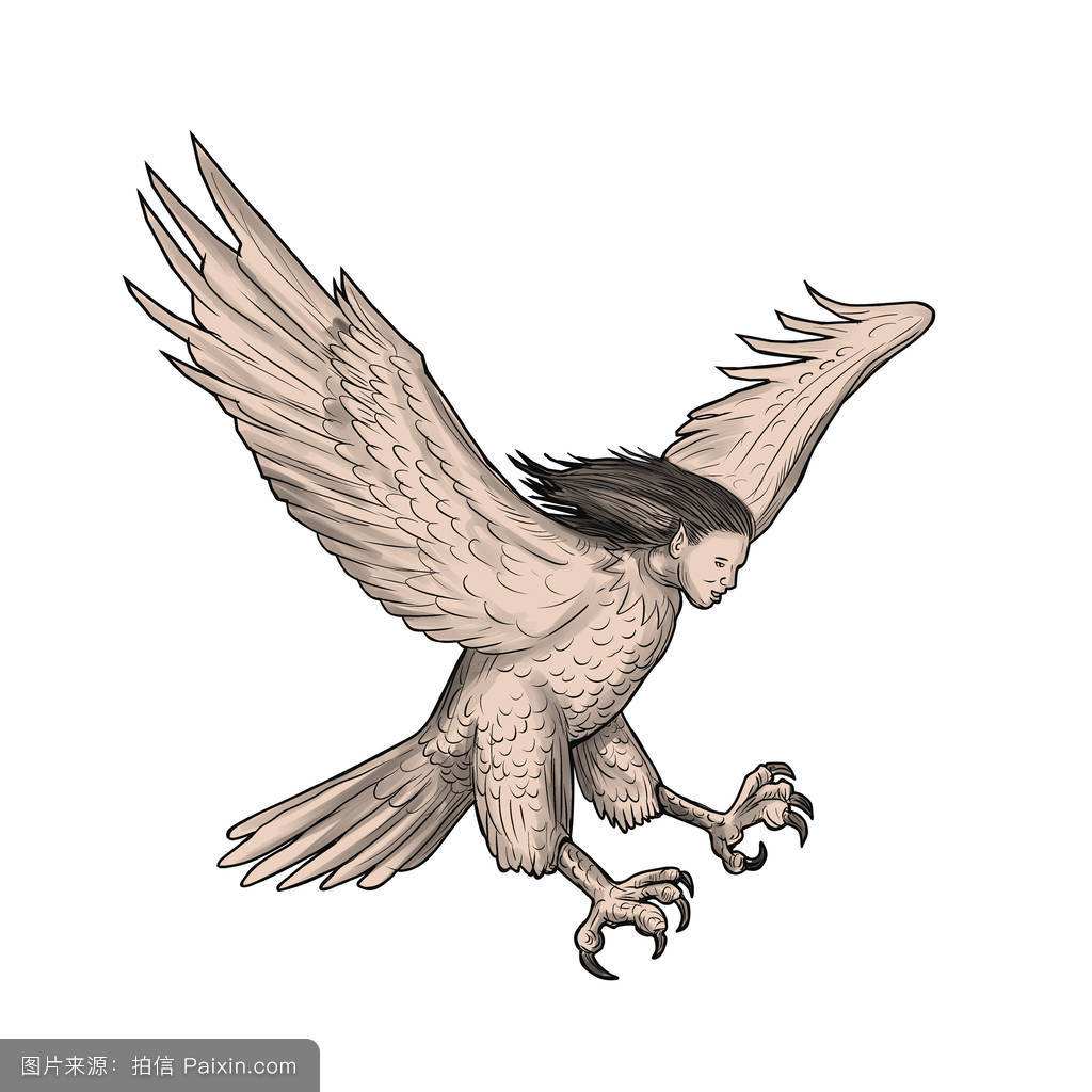 第五人格新监管者――鹰身女巫