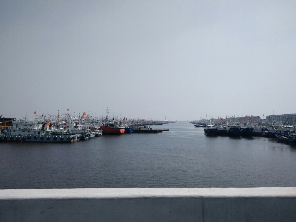 出了村子没多久,就看到了洋口渔港,刚看到港口里停满海船的画面,有点
