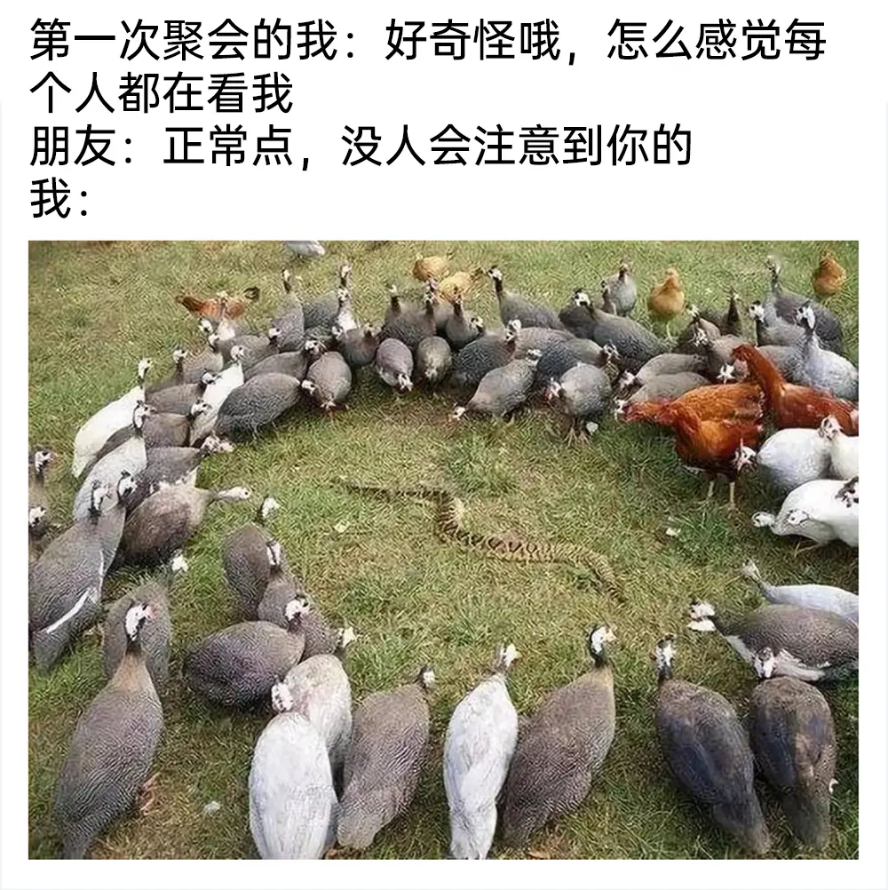 meme梗图:欢迎来到地狱!