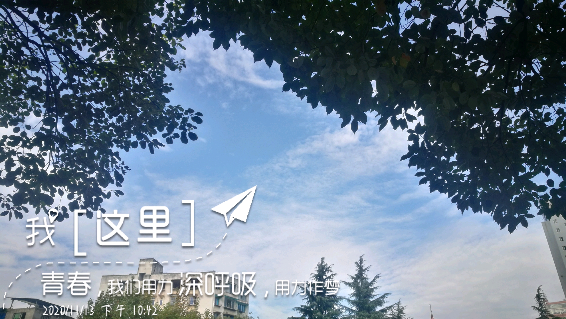 一封寄给你的青春，一封寄给你的信 - 哔哩哔哩