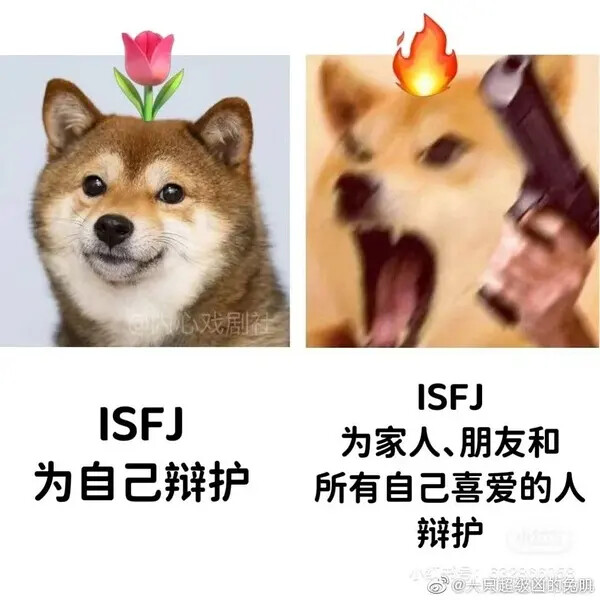 mbti|你是不是真正的isfj（内含梗图可自取） - 哔哩哔哩