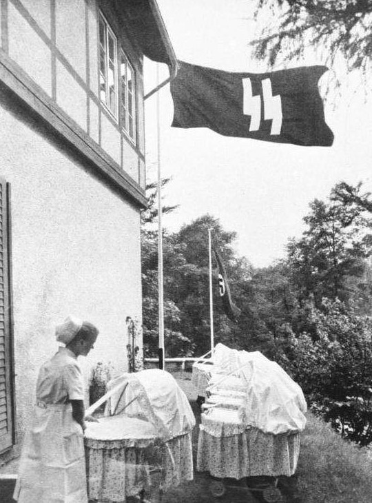 一款神似《汤姆猫》的手游,只不过主角竟是纳粹项目遗留下的孩子