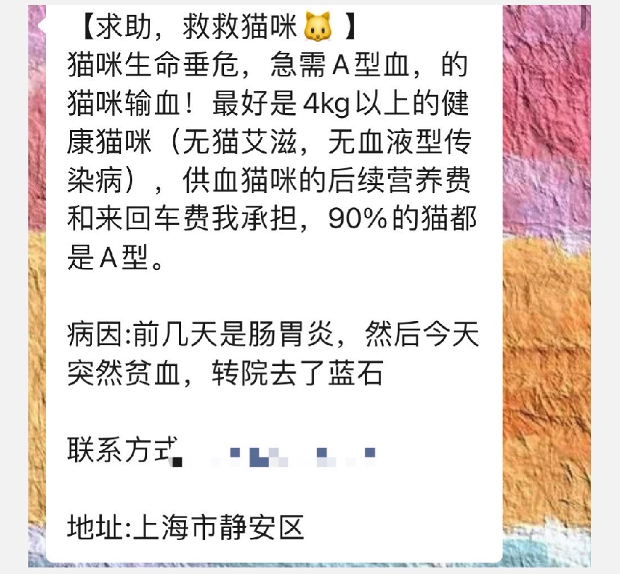 我救了你家猫的命，你却反咬我一口？ 哔哩哔哩