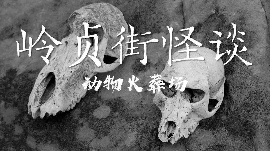 岭贞街怪谈 动物火葬场 中 哔哩哔哩