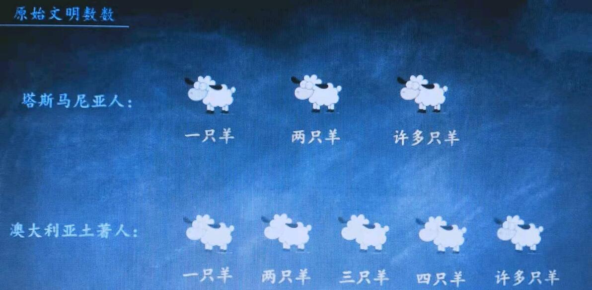 数学历史-数字的起源 - 哔哩哔哩