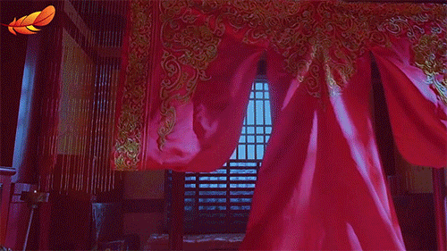 500_281gif 动态图 动图
