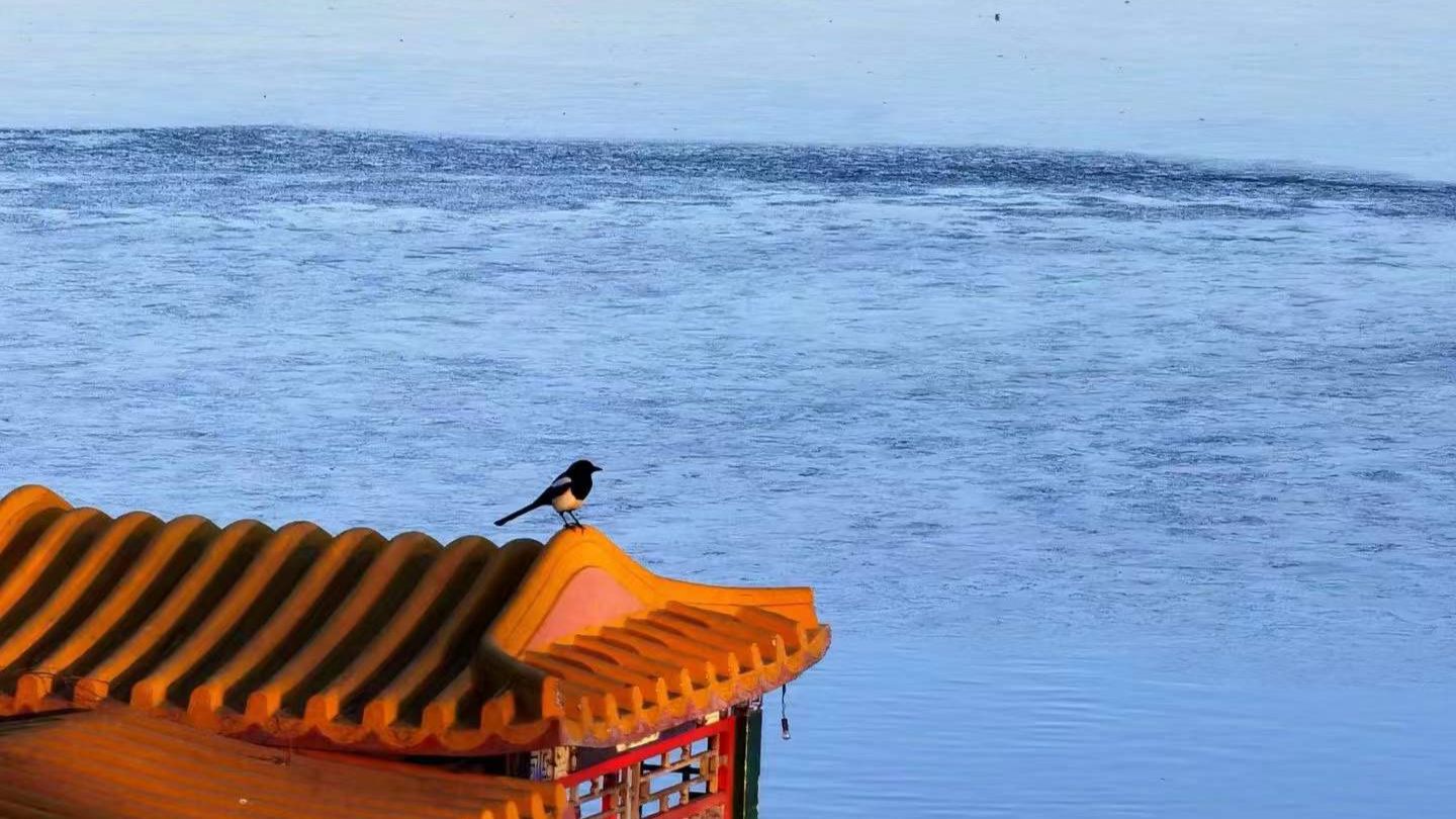 20221224 英语词汇/词组学习汇总 - 哔哩哔哩