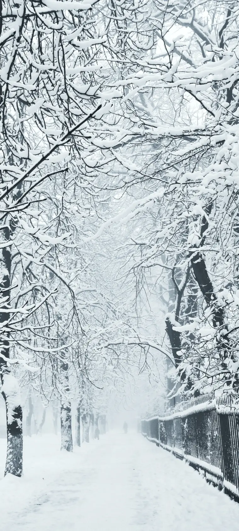 手机壁纸 雪国纪事 哔哩哔哩