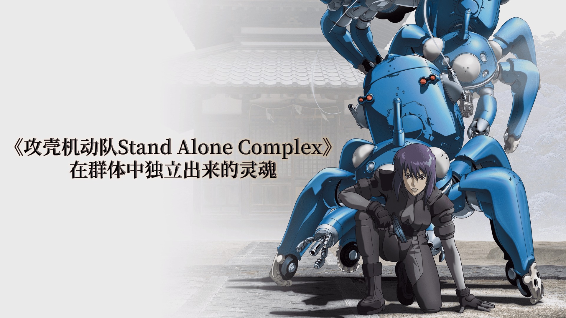 攻殻機動隊stand alone complex maximized 設定資料集 - アート/エンタメ