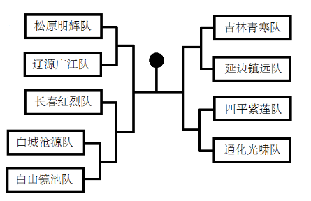 省赛九支队伍对阵图