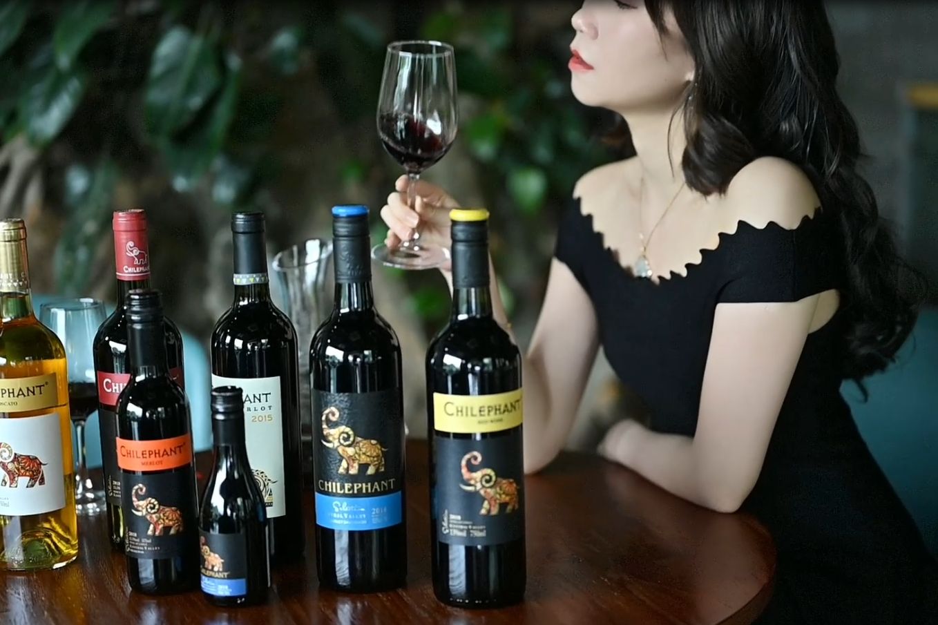 盘点智利十大红酒品牌排行榜，好喝的智利红酒有哪些?__凤凰网