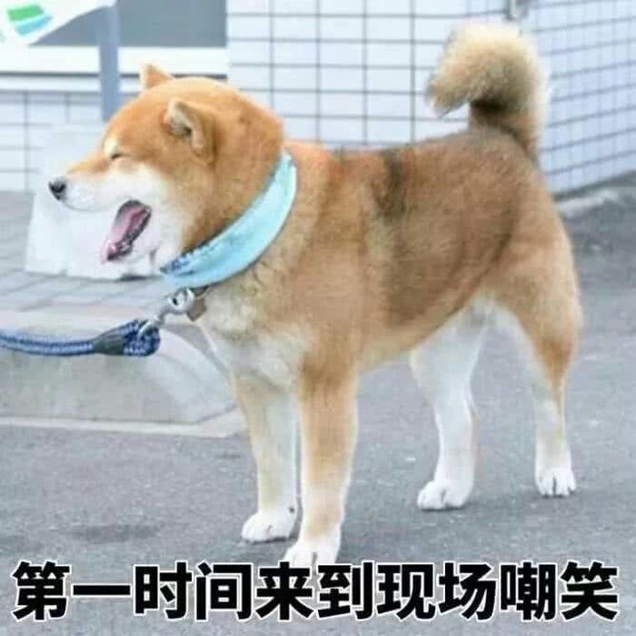 〔朴灿烈〕together 41 ：半夜的backer