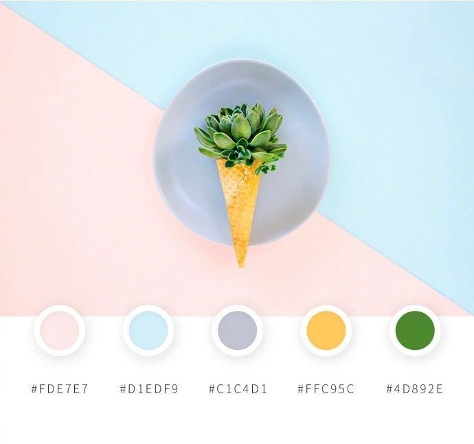 灵感丨夏日小清新配色参考