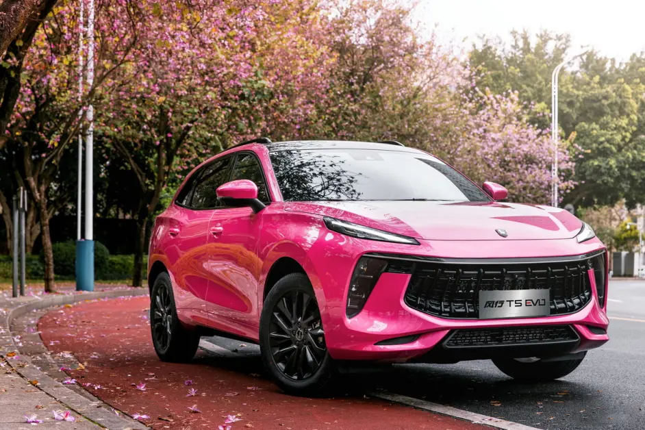 高调有内涵十万元suv好选择东风风行t5 Evo 哔哩哔哩