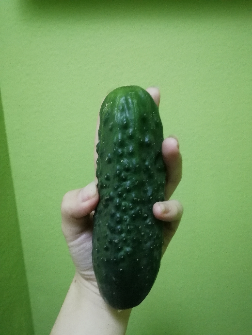 【台妹减肥法】day ② 素食日