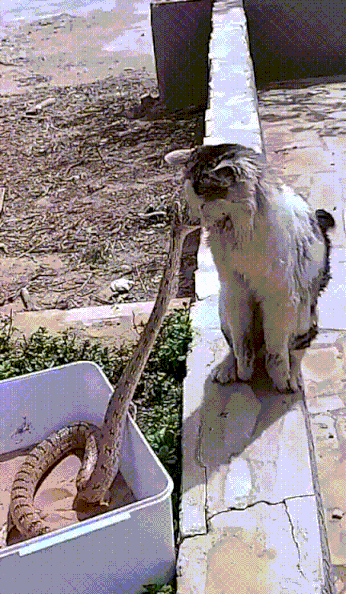 一周趣图分享 no.21