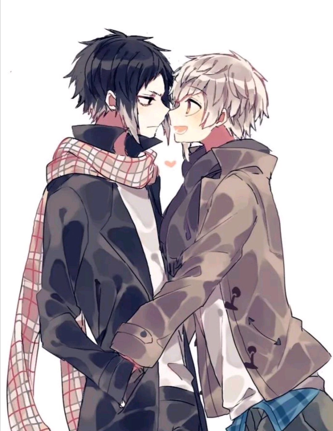 小甜饼【新双黑】