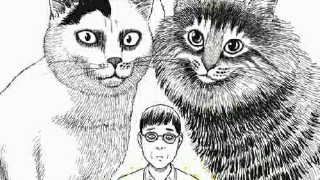 伊藤润二的另类搞笑漫画 伊藤润二的猫日记 哔哩哔哩