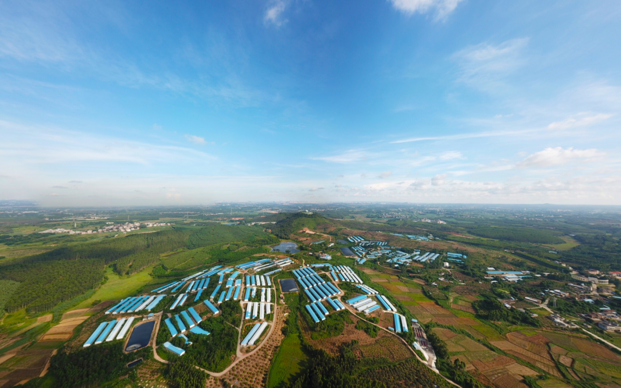 (壹号土猪官湖养殖基地俯瞰图)