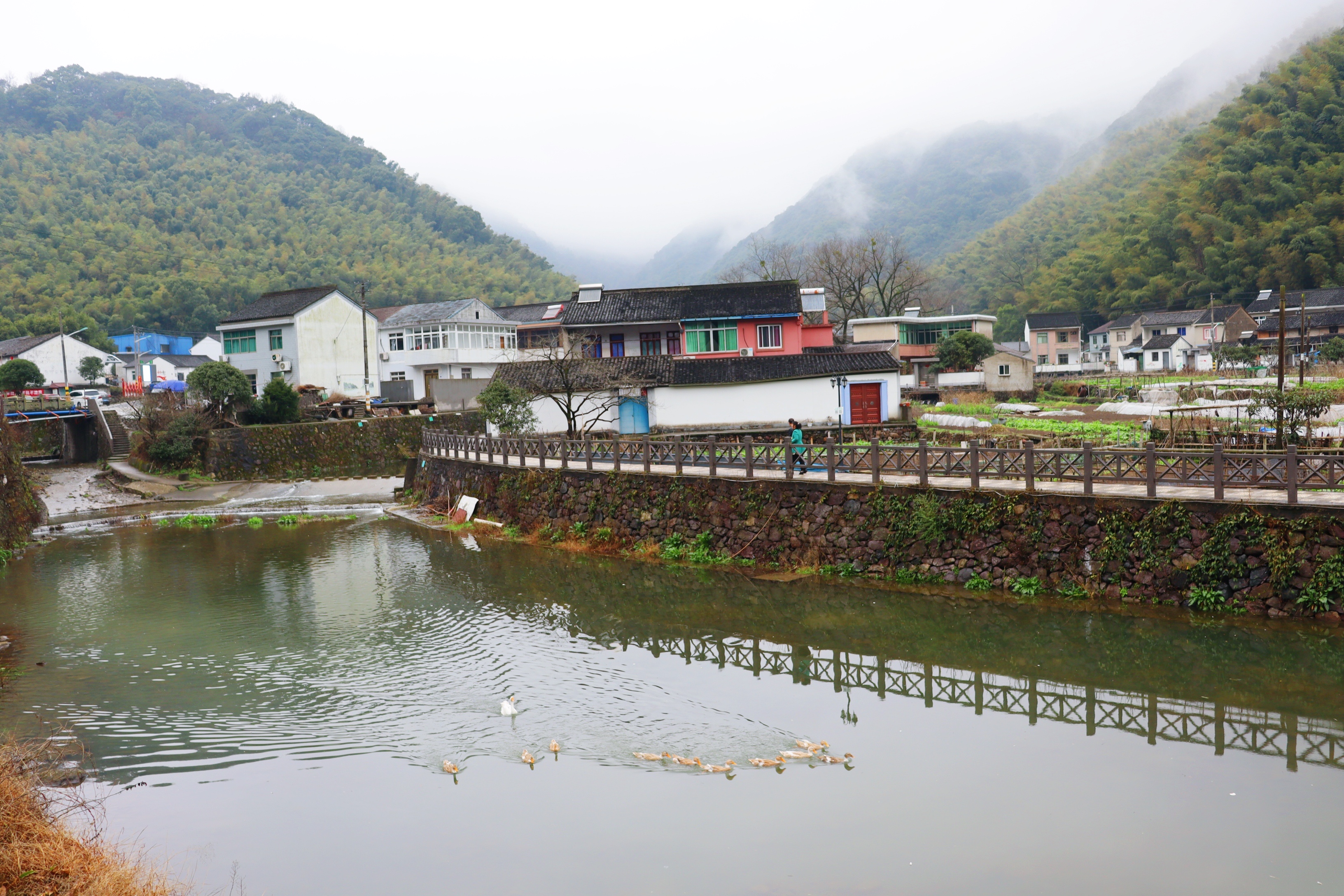 曾經默默無聞的千年古村落,現在成了寧波的網紅村,遊人慕名而來