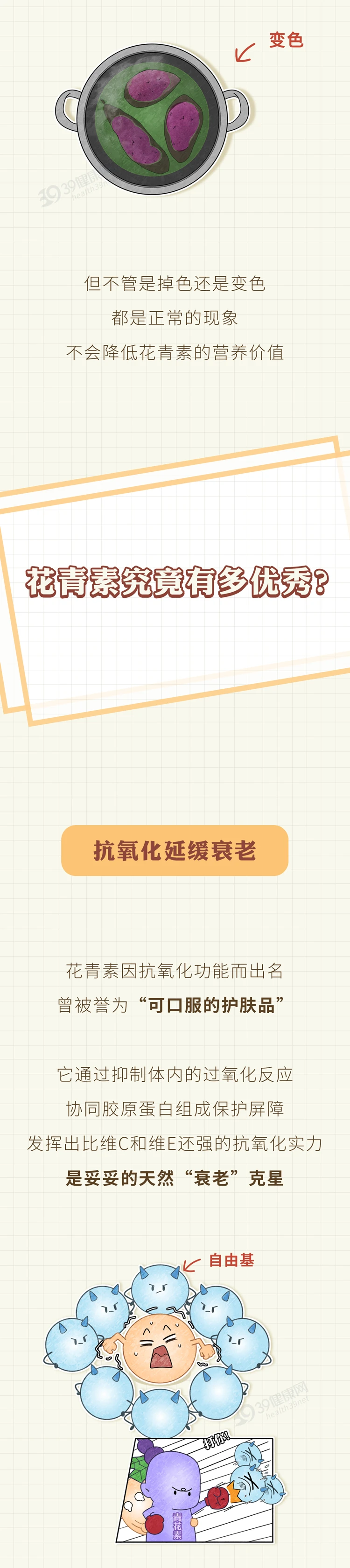 深色蔬菜比浅色蔬菜更有营养2
