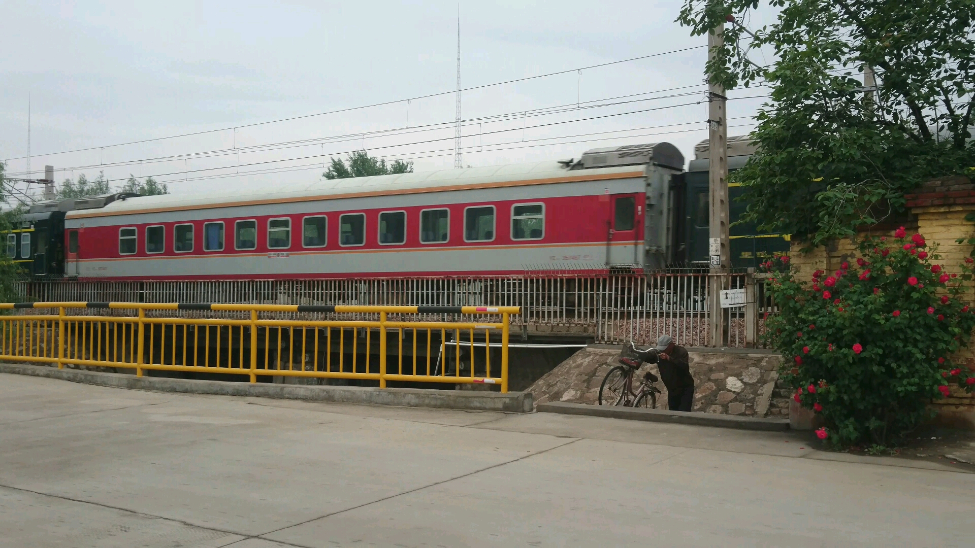 k7725 次列车和了望塔下蔷薇花