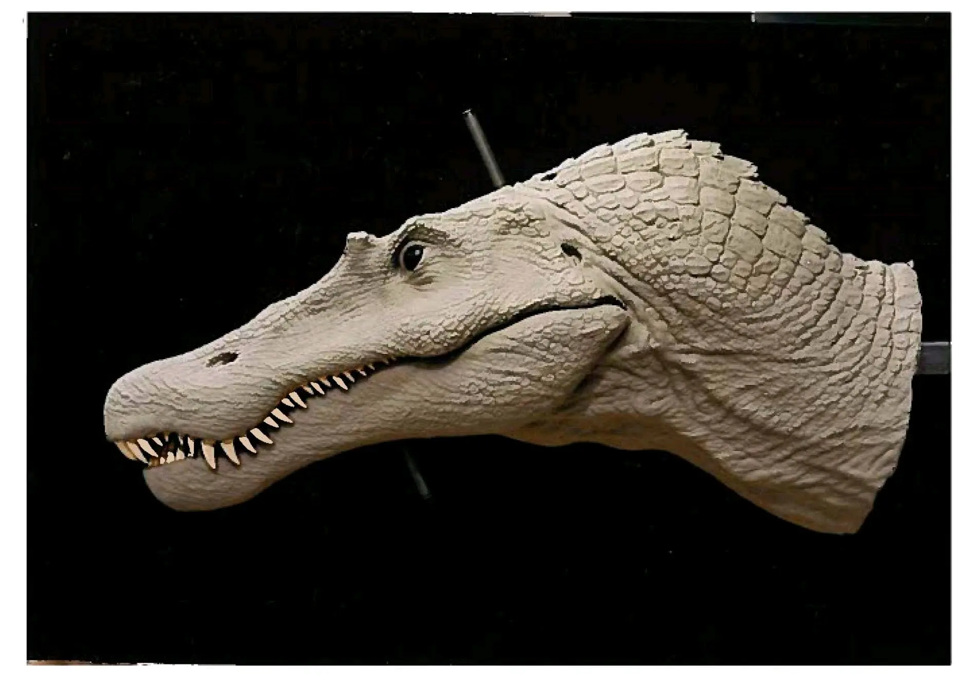 关于战神棘龙(侏罗纪公园)造型的优缺. - 哔哩哔哩