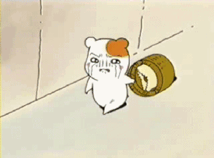 减重18磅,拒绝做掌上明猪!