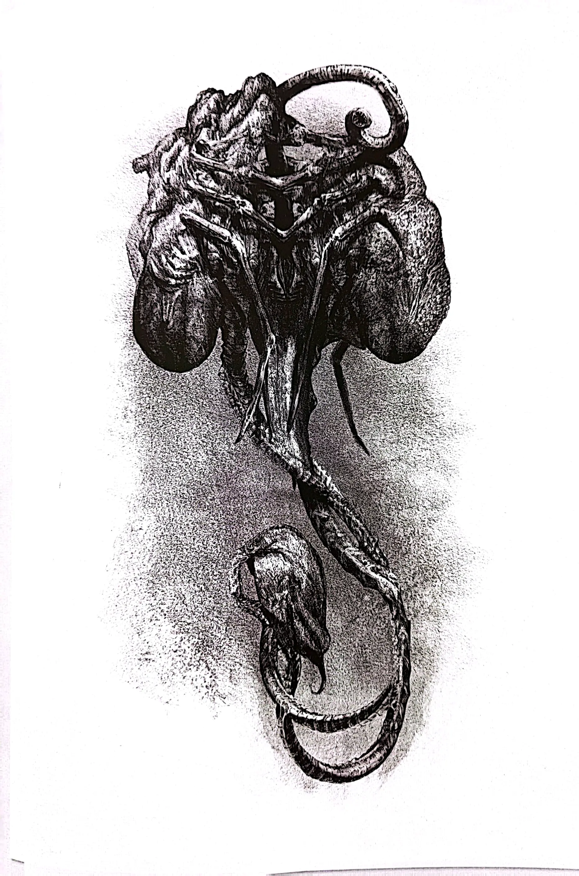 《异形》大卫手稿 赏析 - 下 - 哔哩哔哩