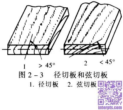 邹孝廉 徐守春 董瑾：木材-木材宏观构造-木材三个切面 - 哔哩哔哩