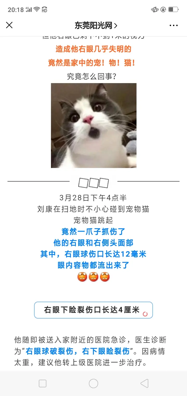 我吐了,猫咪被碰到后竟然暴走抓伤主人眼球???? - 哔哩哔哩
