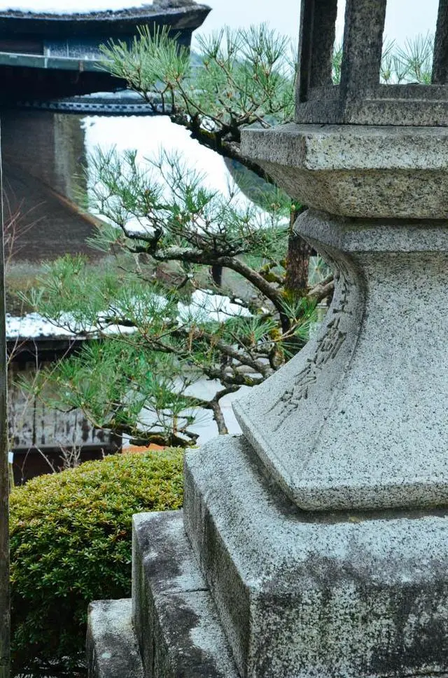 清水寺 京都超美寺庙 看了都一眼就爱上它 哔哩哔哩