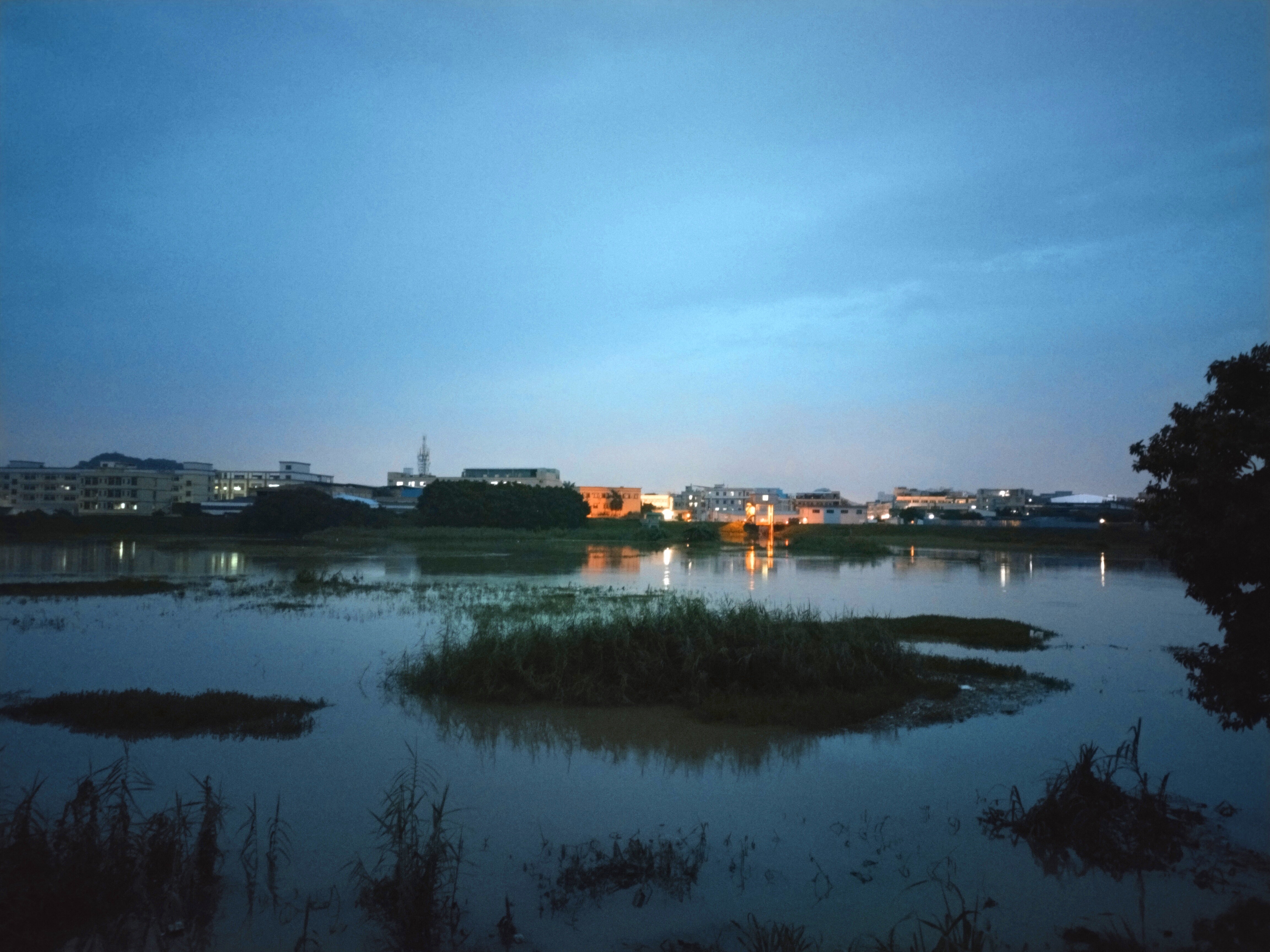 傍晚河边随笔(二)