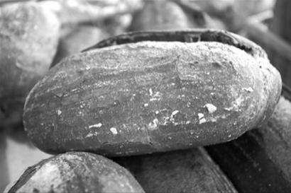 骑马与砍杀2中势力与历史原型的介绍与分析(三