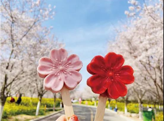 樱花文创冰淇淋