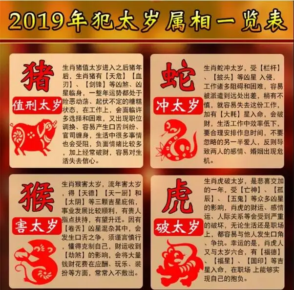 19年家里有属猪 属蛇 属猴 属虎要注意了 哔哩哔哩 19年家里有属猪 属蛇 属猴 属虎要注意了 哔哩哔哩
