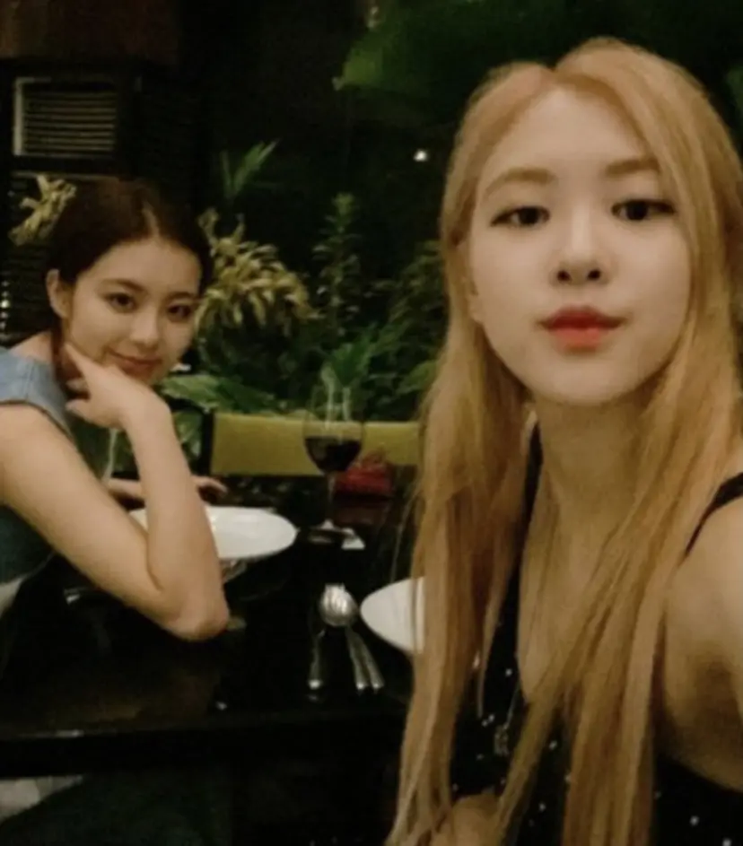 韩网热议 韩娱圈高质兄弟姐妹blackpink Rose姐姐是美女律师金智秀全家共用一脸 哔哩哔哩
