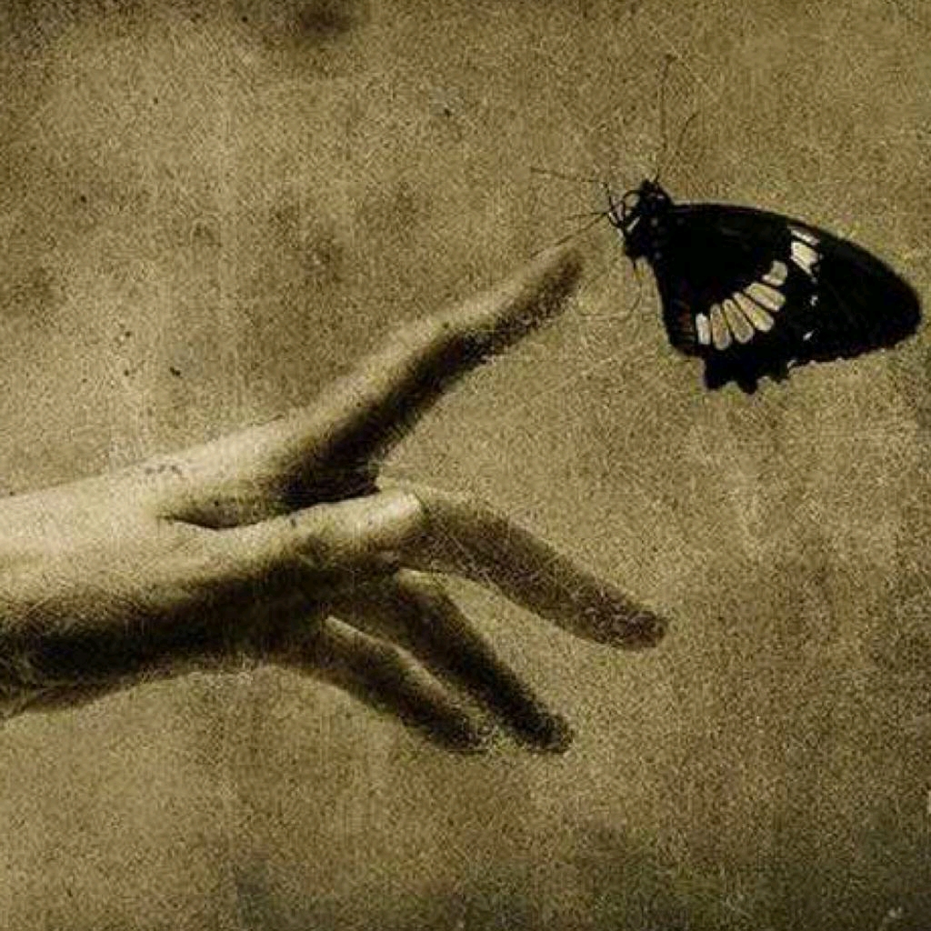 救赎【bts/on】④