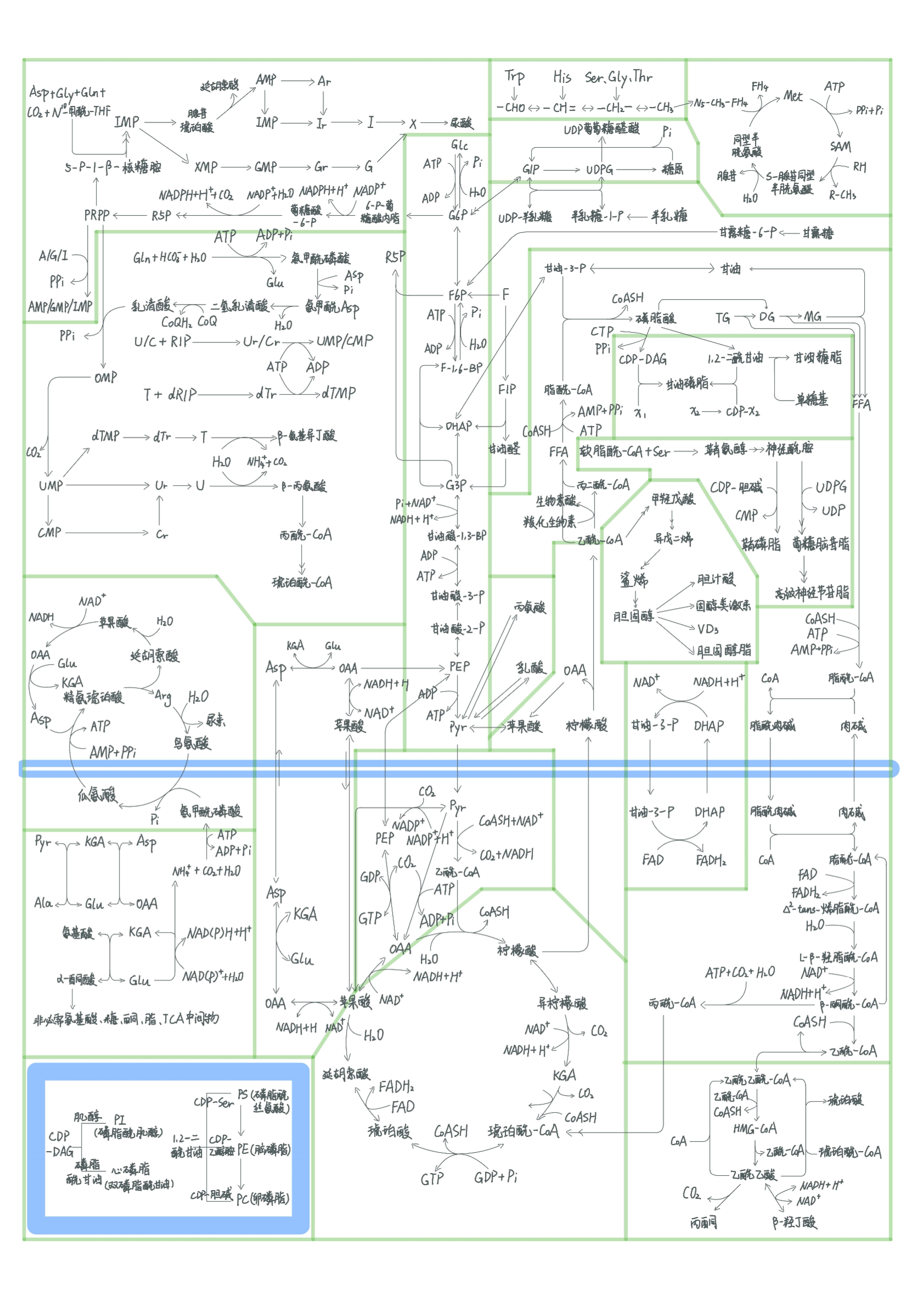 完整生化代谢图 - 哔哩哔哩