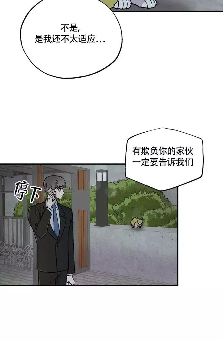 漫画《双胞胎和我》《夏菲菲的兔子》