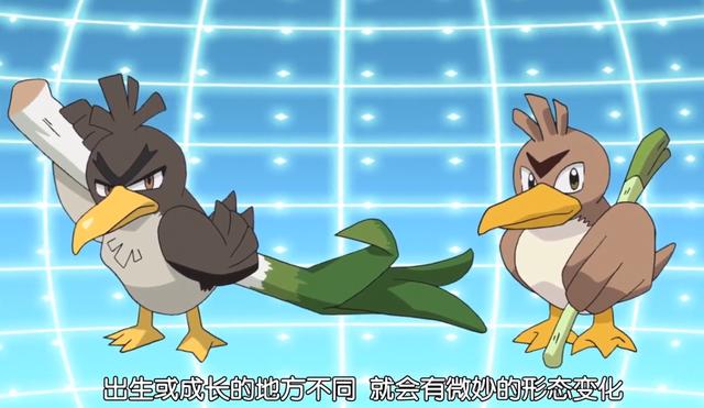 神奇宝贝剑盾:关都和伽勒尔地区的大葱鸭谁更强?网友:主要看葱