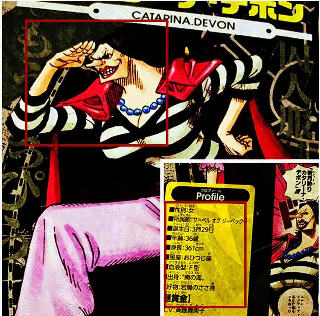 海贼王官方资料 黑胡子的部下卡特琳娜爱好奇特 目标是狩猎女帝 哔哩哔哩
